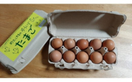 【定期便：12か月】単なる平飼いではない『わたしたちのぷらどたまご』6パック（60個）セット