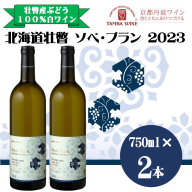 北海道壮瞥産 ソペ・ブラン2023(辛口白ワイン) 750ml×2本 SBTA085