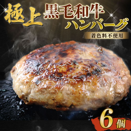 自家製 手作り 黒毛和牛ハンバーグ 約90g×6個 総計約540g ハンバーグ 国産 牛肉 100％ 【(有)山重食肉】（室戸海洋深層水塩使用） 2194652 - 高知県室戸市