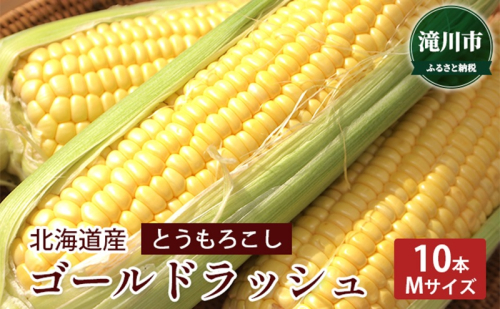 北海道産 とうもろこし ゴールドラッシュ 10本 (Mサイズ) ＜2025年8月上旬～順次出荷＞ スイートコーン 【配送不可：沖縄県、離島】 2194931 - 北海道滝川市