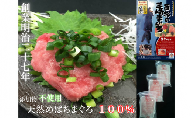 B14-005 【簡単・便利・美味しい！】西松の三崎まぐろ　まぐろのたたき