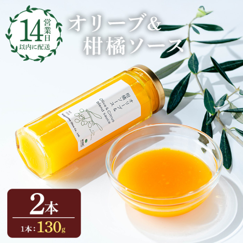 No.1261-B オリーブ&柑橘ソース (130g×2本) 油 オリーブ オリーブオイル セット 詰め合わせ 調味料 箱入り ギフト 贈答 プレゼント 柑橘 ソース ジュース 【鹿児島オリーブ】 2195284 - 鹿児島県日置市