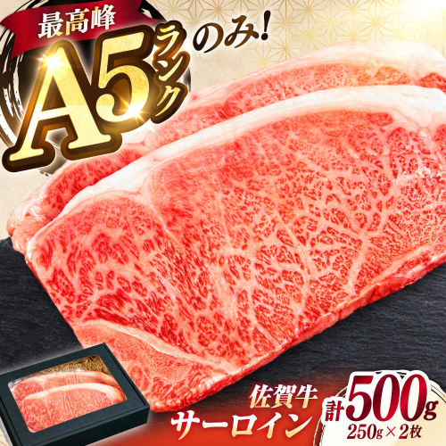 極上 佐賀牛 赤身 A5 サーロイン ステーキ 250g × 2枚 サーロインステーキ ロースステーキ 吉野ヶ里町/KRAZY MEAT [FDR002] 2195790 - 佐賀県吉野ヶ里町