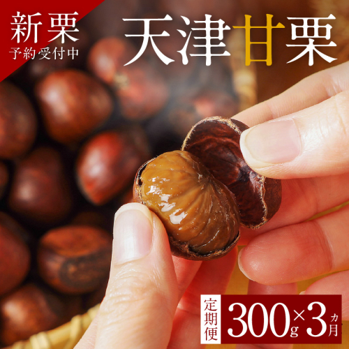 〈新栗〉【旬限定の定期便】( 先行予約 ) この道50年の職人が焼く、やさしい甘みたっぷりの「天津甘栗」300g！ 焼きたて 栗 くり 栗爪 殻付き お菓子 おつまみ 人気 高リピート 小分け 栗ご飯 栗きんとん 甘露煮 予約 受付 H045-070 2195794 - 愛知県碧南市