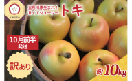 【2025年10月前半発送】訳あり トキ 約10kg