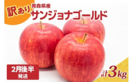 訳あり りんご3kg 程度【2026年2月後半発送】サンジョナゴールド 青森|不揃いリンゴ