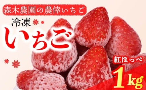 冷凍 いちご 苺 1kg 完熟  紅ほっぺ ヘタ取り いちご 静岡 限定 苺 冷凍いちご イチゴ 果物 スイーツ いちご 紅ほっぺ 冷凍イチゴ 牧之原市 デザート フルーツ スイーツ アイス ジャム シャーベット かき氷 イチゴ ベリー ストロベリー 氷菓 冷凍 甘い オススメ いちご ギフト 贈答 プレゼント 人気 送料無料 1袋 便利 いちご 紅ほっぺ べにほっぺ 牧之原市 森木農園
