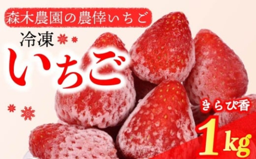冷凍 いちご 苺 1kg以上 完熟 きらぴ香  ヘタ取り いちご 静岡 限定 苺 冷凍いちご きらぴ香 果物 スイーツ いちご デザート フルーツ スイーツ アイス ジャム シャーベット ベリー 氷菓 冷凍 甘い あまい 果物 くだもの おやつ イチゴ オススメ おすすめ 美味しい おいしい 産地直送 農家直送  贈答用 贈り物 プレゼント ギフト 家庭用 自宅用 人気 静岡県 牧之原市 森木農園