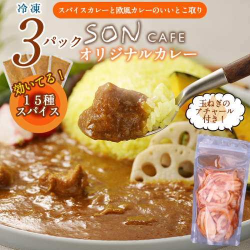 【スピード発送】15種スパイスを使用したSONカフェ特製カレー 200g×3P&玉ねぎのアチャール×1P  いずみピクルス NSW 010B1728 2195938 - 大阪府泉佐野市