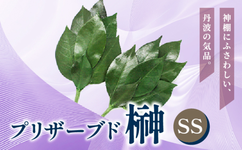 プリザーブド 榊 SSサイズ（1対 2束）【天然 国産 サカキ 神棚 神具 祭壇 玉串 神事 仏壇 仏花 お供え お墓 お盆 お彼岸 新盆 祭 水かえ不要 枯れない プリザーブドフラワー】 2195940 - 兵庫県芦屋市