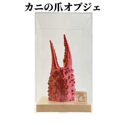34-23 カニの爪オブジェ（大型）ケース付き 2195974 - 北海道紋別市