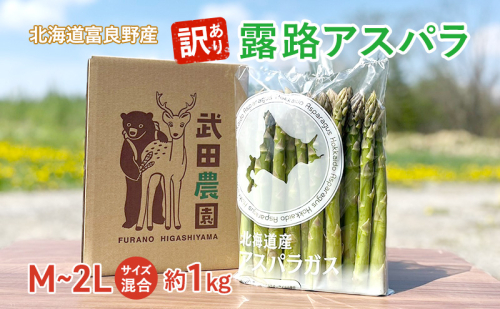 ［武田農園とれたて直送］訳あり グリーンアスパラ M～2Lサイズ混合 約1kg ご家庭用 やわらかくて抜群に甘い！北海道 富良野産 ( アスパラガス アスパラ 野菜 新鮮 産地直送 先行予約 限定 )  2196116 - 北海道富良野市