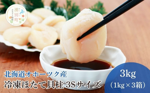 〈北海道 オホーツク産〉 冷凍 ほたて貝柱 3Sサイズ3kg（1kg×3箱）【 ホタテ 帆立 ほたて 海鮮 刺身 貝 貝柱 魚介 魚介類 冷凍 北海道 湧別町 】 2196200 - 北海道湧別町