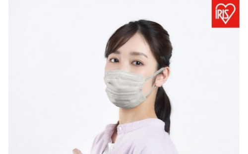 【30枚入り×4箱】マスク ナノエアーマスク ふつうサイズ ３０枚入 PK-NI30LXH ニュアンスグレー 2196390 - 宮城県角田市