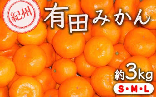 紀州有田みかん 約3kg サイズ (L・М・S) ｜みかん ミカン 和歌山 由良 フルーツ 果物 柑橘 和歌山県産 お取り寄せ 人気 ※2025年11月下旬～2026年1月中旬頃に順次発送予定 2196548 - 和歌山県美浜町