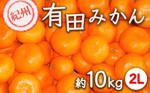 紀州有田みかん 約10kg サイズ (2L) ｜みかん ミカン 和歌山 由良 フルーツ 果物 柑橘 和歌山県産 お取り寄せ 人気 ※2025年11月下旬～2026年1月中旬頃に順次発送予定 2196549 - 和歌山県美浜町