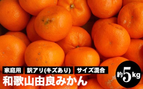 和歌山由良みかん 約5kg 訳あり キズ 御家庭用 サイズ混合｜みかん ミカン 和歌山 由良 おまかせ フルーツ 果物 柑橘 和歌山県産 お取り寄せ ふるさと納税 返礼品 ※2025年11月下旬～2026年1月中旬頃に順次発送予定 ※北海道・沖縄・離島への配送不可 2196550 - 和歌山県美浜町