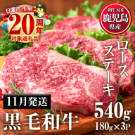 No.510-m11 ＜2025年11月中に発送予定＞鹿児島県産黒毛和牛ロースステーキ(計540g・180g×3P)国産 九州産 牛肉 黒毛和牛 和牛 ロース ステーキ おかず 冷凍【カミチク】
