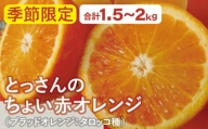 とっさんのちょい赤オレンジ(ブラッドオレンジ:タロッコ種)(配達指定日不可)[ブラッドオレンジ 1箱 1.5kg〜2kg ジュース スムージー 果物 フルーツ]