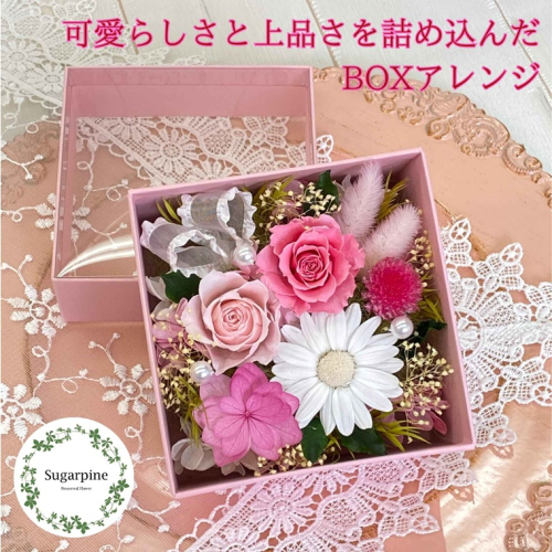 プリザーブドフラワー　フラフィ　春日部市　シュガーパイン（AJ239） 2196837 - 埼玉県春日部市