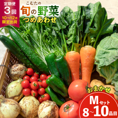 AJ433 【3回定期便】【10～12月限定出荷】こむたの旬の野菜 (8～10品目) おまかせMセット [ 野菜 やさい 旬 定期便 野菜セット 種類 人気 オススメ 新鮮 詰め合わせ 詰合せ こむた 小無田 青果 長崎県 島原市 ] 2196854 - 長崎県島原市
