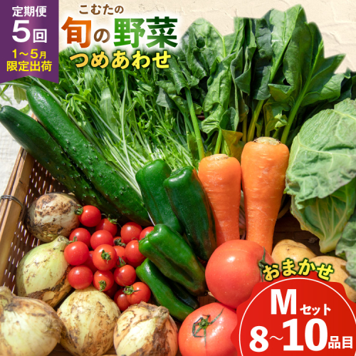 AJ434 【5回定期便】【1～5月限定出荷】こむたの旬の野菜 (8～10品目) おまかせMセット [ 野菜 やさい 旬 定期便 野菜セット 種類 人気 オススメ 新鮮 詰め合わせ 詰合せ こむた 小無田 青果 長崎県 島原市 ] 2196860 - 長崎県島原市