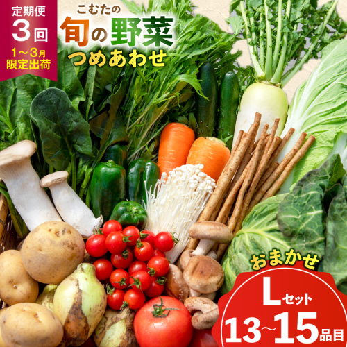 AJ435 【3回定期便】【1～3月限定出荷】こむたの旬の野菜 (13～15品目) おまかせLセット [ 野菜 やさい 旬 定期便 野菜セット 種類 人気 オススメ 新鮮 詰め合わせ 詰合せ こむた 小無田 青果 長崎県 島原市 ] 2196906 - 長崎県島原市