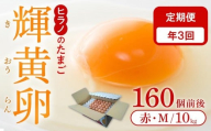 【定期便3回】ヒラノのたまご【輝黄卵(きおうらん)】赤Mサイズ10kg(160個前後)【卵 たまご タマゴ 生卵 生たまご 鶏卵 たまご 卵 国産 たまご 卵 タマゴ 鶏卵 たまごやき 卵かけご飯 卵焼き ゆでたまご たまご 新鮮 直送 朝ごはん 卵かけごはん AJ007】