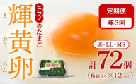 【定期便3回】輝黄卵（きおうらん）72個（6個入り×12パック）【卵 たまご タマゴ 生卵 生たまご 鶏卵 たまご 卵 国産 たまご 卵 タマゴ 鶏卵 たまごやき 卵かけご飯 卵焼き ゆでたまご たまご 新鮮 直送 朝ごはん 卵かけごはん AJ010】