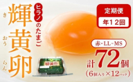【定期便12回】輝黄卵（きおうらん）72個（6個入り×12パック）【卵 たまご タマゴ 生卵 生たまご 鶏卵 たまご 卵 国産 たまご 卵 タマゴ 鶏卵 たまごやき 卵かけご飯 卵焼き ゆでたまご たまご 新鮮 直送 朝ごはん 卵かけごはん AJ012】