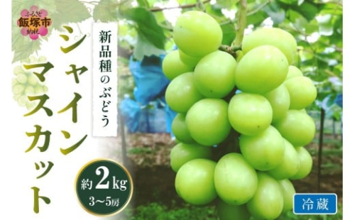 シャインマスカット(ぶどう)約2kg＜2025年9月から発送開始分先行予約＞【C-169】 2197132 - 福岡県飯塚市