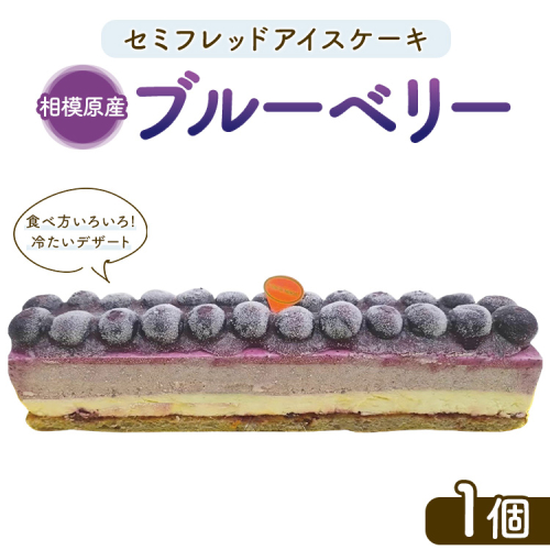 セミフレッドアイスケーキ　相模原産ブルーベリー 2197225 - 神奈川県相模原市