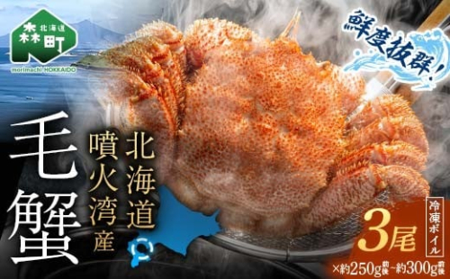 【訳あり】北海道・噴火湾産冷凍ボイル毛ガニ約250g前後～約300g前後×3尾 新物 2025年6月～7月水揚げ 毛ガニ 毛カニ 蟹 かに かにみそ 海産物 海鮮 森町 mr1-1046 2197331 - 北海道森町