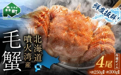 【訳あり】北海道・噴火湾産冷凍ボイル毛ガニ約250g前後～約300g前後×4尾 新物 2025年6月～7月水揚げ 毛ガニ 毛カニ 蟹 かに かにみそ 海産物 海鮮 森町 mr1-1047 2197333 - 北海道森町