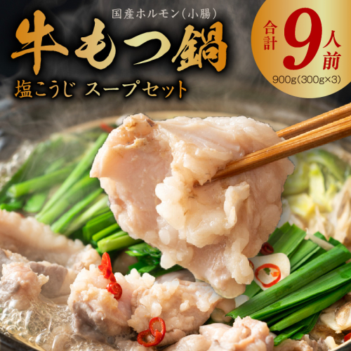 【年内発送】国産 牛もつ鍋セット 9人前 ホルモン 塩こうじ スープセット G1774y 2197441 - 大阪府泉佐野市