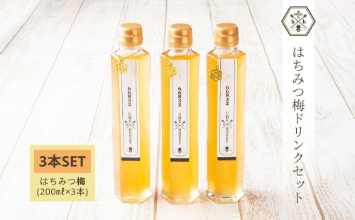 【むろうはちみつ】はちみつ 梅 ドリンク 3本セット (4倍希釈原液) ／砂糖不使用 無添加 室生 国産 純粋 蜂蜜 シロップ プレゼント 手土産 お取り寄せ 贈り物 ふくさきわう 奈良県 宇陀市 ふるさと納税 2197516 - 奈良県宇陀市
