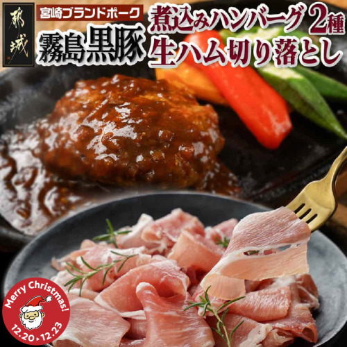 【☆クリスマス☆】霧島黒豚煮込みハンバーグ2種&生ハム切り落としセット≪12月20日～23日お届け≫_AA-2811-OJX 2197566 - 宮崎県都城市