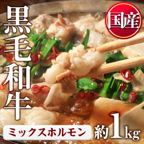 No.1001-01 黒毛和牛ミックスホルモン(計1kg) 国産 九州産 牛肉 黒毛和牛 和牛 ホルモン 焼肉 鉄板焼き もつ鍋 冷凍 小分け【カミチク】 2197662 - 鹿児島県日置市