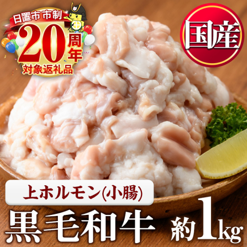No.1001-02 黒毛和牛上ホルモン(計1kg) 国産 九州産 牛肉 黒毛和牛 和牛 ホルモン 焼肉 鉄板焼き もつ鍋 冷凍 小分け【カミチク】 2197663 - 鹿児島県日置市