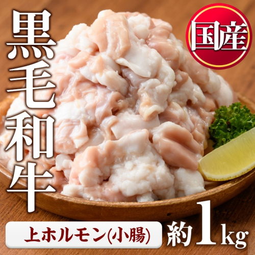 No.1001-02 黒毛和牛上ホルモン(計1kg) 国産 九州産 牛肉 黒毛和牛 和牛 ホルモン 焼肉 鉄板焼き もつ鍋 冷凍 小分け【カミチク】 2197663 - 鹿児島県日置市