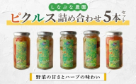 【しなぷな農園】しなぷなピクルス詰め合わせ（5本セット）｜長野県 東御市 信州
