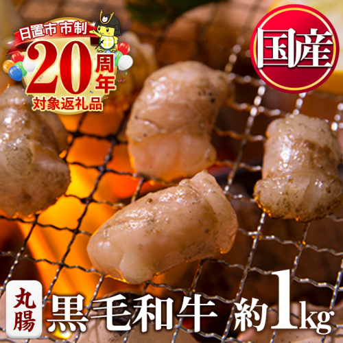 No.1001-03 黒毛和牛丸腸(計1kg) 国産 九州産 牛肉 黒毛和牛 和牛 ホルモン 焼肉 鉄板焼き もつ鍋 冷凍 小分け【カミチク】 2197846 - 鹿児島県日置市