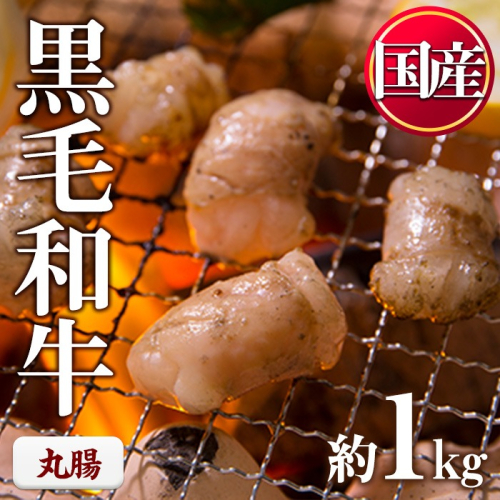No.1001-03 黒毛和牛丸腸(計1kg) 国産 九州産 牛肉 黒毛和牛 和牛 ホルモン 焼肉 鉄板焼き もつ鍋 冷凍 小分け【カミチク】 2197846 - 鹿児島県日置市