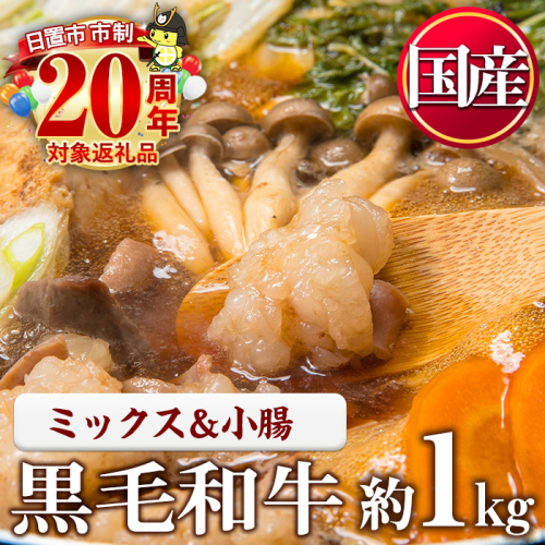 No.1001-04 国産黒毛和牛ミックスホルモン、上ホルモン(合計1.1kg) 国産 九州産 牛肉 黒毛和牛 和牛 ホルモン 焼肉 鉄板焼き もつ鍋 冷凍 小分け【カミチク】 2197847 - 鹿児島県日置市