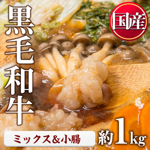 No.1001-04 国産黒毛和牛ミックスホルモン、上ホルモン(合計1.1kg) 国産 九州産 牛肉 黒毛和牛 和牛 ホルモン 焼肉 鉄板焼き もつ鍋 冷凍 小分け【カミチク】 2197847 - 鹿児島県日置市