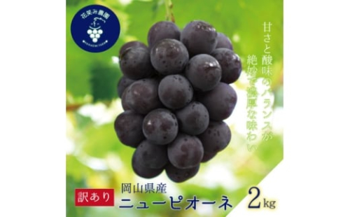岡山　花笑み農園の『訳ありニューピオーネ』2kg　WP-2＜2025年9月～順次発送＞_ぶどう ニューピオーネ 葡萄 ブドウ 岡山県産 果物 くだもの フルーツ 訳あり 岡山県 津山市 産直 産地直送 送料無料【1593490】