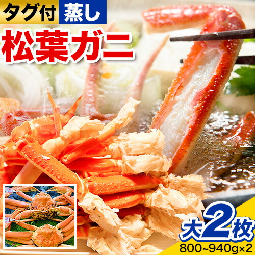 【蒸し】タグ付き松葉ガニ 大2枚(1枚あたり800～940g) 高間商店《11月中旬-3月下旬頃出荷》鳥取県 八頭町 送料無料 カニ 蟹 松葉ガニ タグ付き ブランド 2198466 - 鳥取県八頭町