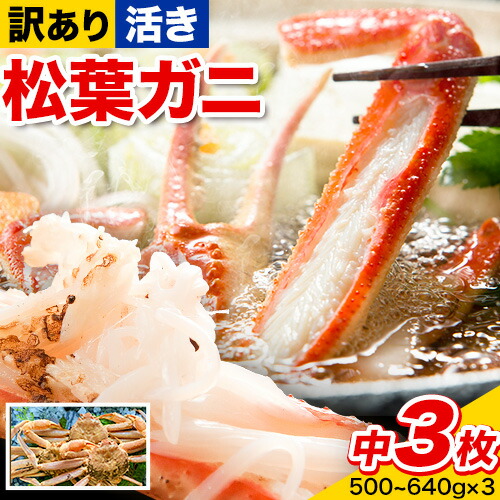 【活き】訳あり 松葉ガニ 中 3枚(1枚/500～640g前後) 高間商店《11月中旬-3月下旬頃出荷》鳥取県 八頭町 送料無料 カニ 蟹 かに 訳あり 鍋 珍味 冬 グルメ ズワイガニ 2198467 - 鳥取県八頭町
