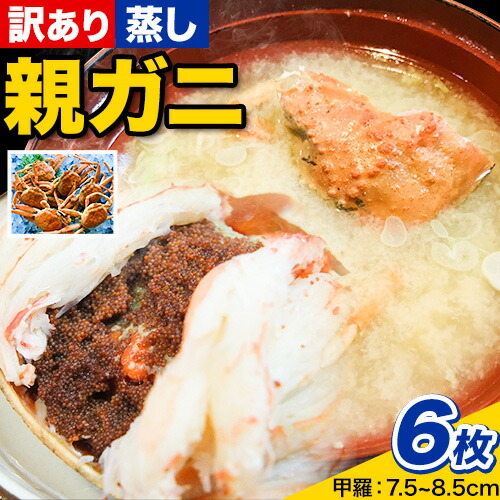 【蒸し】訳あり 足折れ 日本海産 親ガニ セコガニ 6枚(甲羅のサイズ7.5～8.5cm) 高間商店《11月中旬-1月中旬頃出荷予定》鳥取県 八頭町 送料無料 カニ 蟹 かに 訳あり 足折れ 鍋 珍味 ズワイガニ 2198478 - 鳥取県八頭町