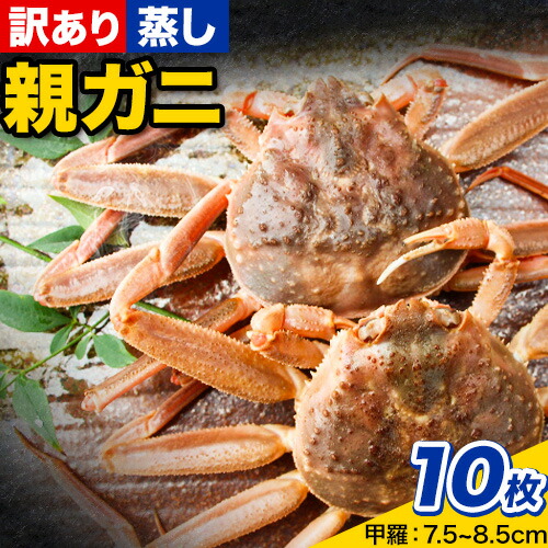 【蒸し】訳あり 足折れ 日本海産 親ガニ セコガニ 10枚(甲羅のサイズ7.5～8.5cm) 高間商店《11月中旬-1月中旬頃出荷》鳥取県 八頭町 送料無料 カニ 蟹 かに 訳あり 足折れ 鍋 珍味 ズワイガニ 2198481 - 鳥取県八頭町